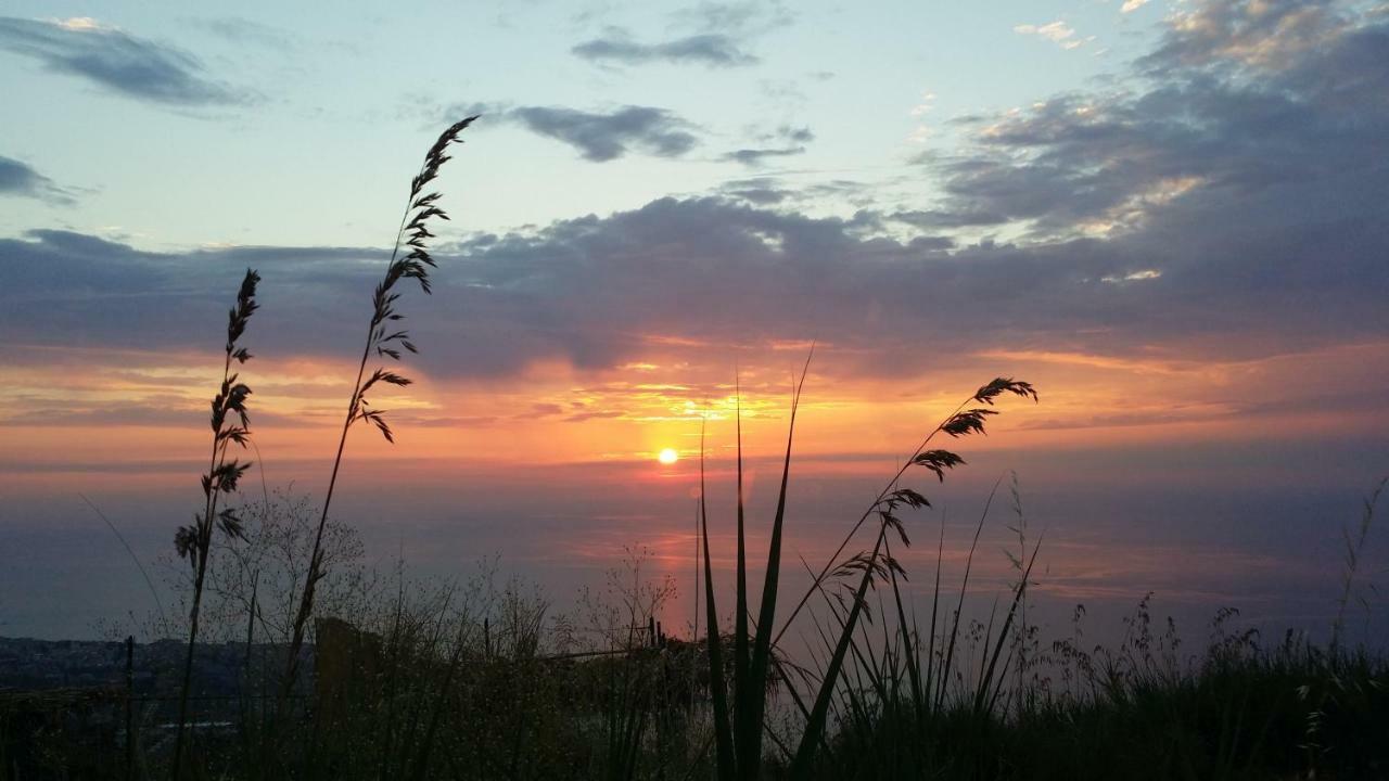 B&B Villa Eleonora Tropea Le Pioppe Экстерьер фото